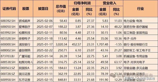 2024年A股业绩快报：净利润增长超70%电子科技类公司表现亮眼(图5)